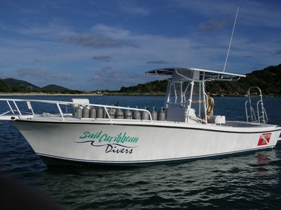 Boat Diver - 26 ft Newton Dive Boat, Sail Caribean Divers