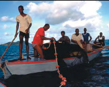 AWARE Coral Reef - Fisherman