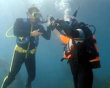 Open Water Diver Course - Tampa, FL