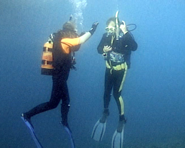Open Water Diver Course - Tampa, FL