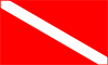 Dive Flag - Dive Training with William Fidler