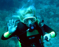 Open Water Diver Course - Tampa, FL