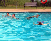Open Water Diver Course - Confined Water Dive