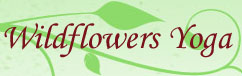 Wildflowers Yoga, Orlando, FL