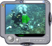 Video - Bonaire Divers
