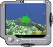 Video - Filefish