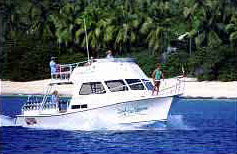 Boat Diver - 36 ft Newton Dive Boat, Sail Caribbean Divers