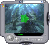 Video - Dive Quest Divers