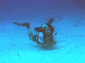 The Photographer Package - Neutral Buoyancy, Cozumel Mexico